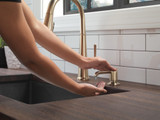 Delta Emmeline RP101188CZPR Soap Dispenser in Lumicoat Champagne Bronze Finish
