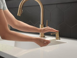 Delta Trinsic RP100734CZ Metal Soap Dispenser in Champagne Bronze Finish