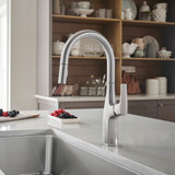 Blanco 442678: Rivana Collection Pull-Down Kitchen Faucet 1.5 GPM - PVD Steel
