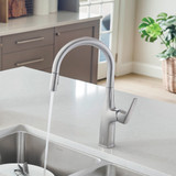 Blanco 442678: Rivana Collection Pull-Down Kitchen Faucet 1.5 GPM - PVD Steel
