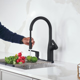 Blanco 443020: Rivana Collection Pull-Down Kitchen Faucet 1.5 GPM - Matte Black
