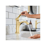 hansgrohe 04810250 Locarno Single-Hole Faucet 110 with Pop-Up Drain, 1.2 GPM in Brushed Gold Optic