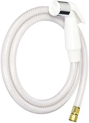 Peerless RP18873 Spray and Hose Assembly in Chrome Finish