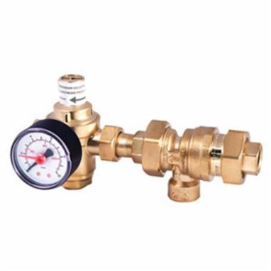 Legend Valve 800-841 Auto Fill Valve 1/2 Inch MNPT x FNPT with Backflow and Gauge