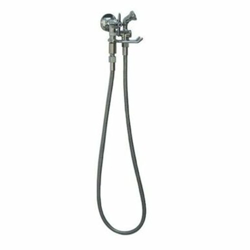 Outdoor Shower Company WMHS-0101-CHV WALL MOUNT COLD WATER