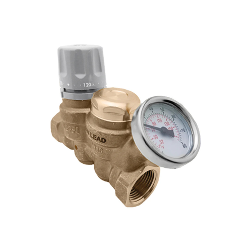 Caleffi 116160AC Thermal Balancing 1 Inch NPT Brass