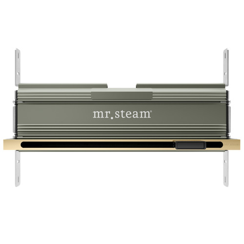 Mr. Steam 104480PB Linear 16 in. Steam Head With AromaTray in Polished Brass