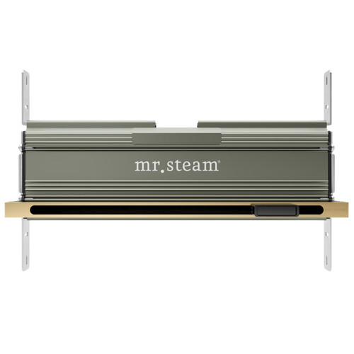 Mr. Steam 104480SB Linear 16 in. Steam Head With AromaTray in Satin Brass