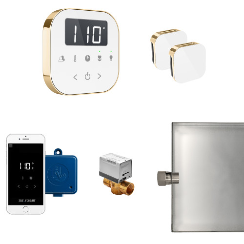 Mr. Steam ABUTLERXW-PB AirButler® Max Steam Generator Control Kit / Package in White Polished Brass