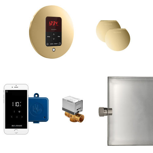 Mr. Steam MSBUTLERXRD-PB Butler Max Steam Generator Control Kit / Package in Round Polished Brass