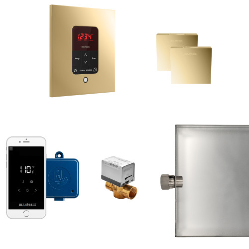 Mr. Steam MSBUTLERXSQ-PB Butler® Max Steam Generator Control Kit / Package in Square Polished Brass