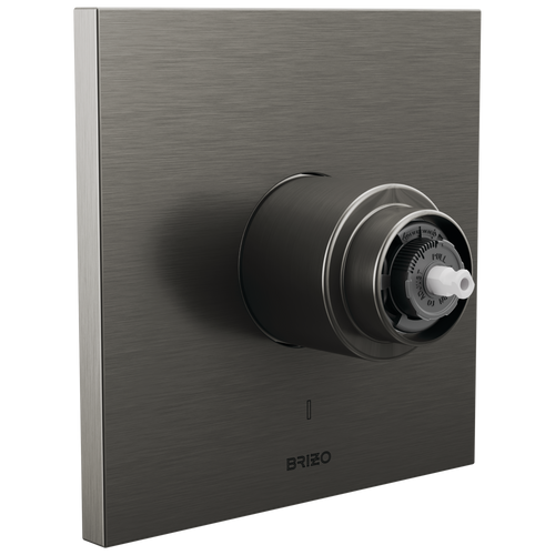 Brizo Frank Lloyd Wright T60P022-SLLHP Pressure Balance Valve Only Trim - Less Handle in Luxe Steel Finish