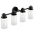 Moen Iso Matte Black Four Globe Bath Light