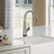 Elkay Avado Single Hole 2-in-1 Kitchen Faucet with Filtered Drinking Water Chrome