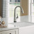 Elkay Avado Single Hole 2-in-1 Kitchen Faucet with Filtered Drinking Water Lustrous Steel