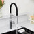 Blanco 402447: Catris Flexo Semi-Pro 1.5 GPM Faucet - Chrome