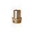 Legend Valve 312-004NL Pipe Adapter 3/4 in Insert x 3/4 in MPT Bronze