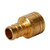 Legend Valve 460-625NL Adapter 1 in PEX x 1 in Sweat Brass