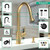 Hansgrohe 14877251 Talis S2 High Arc Kitchen Faucet, 2-Spray Pull-Down, 1.75 GPM in Brushed Gold Optic