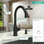 Hansgrohe 04215670 Talis C High Arc Kitchen Faucet, 2-Spray Pull-Down, 1.75 GPM in Matte Black