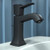 Hansgrohe 31300671 Metropol Classic Single-Hole Faucet 110 with Pop-Up Drain, 1.2 GPM in Matte Black