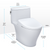 Toto Nexus 1G One Piece Elongated Universal Height Toilet 1.0 GPF with Contemporary Washlet+ S7 Bidet Seat in Cotton White