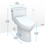 Toto Drake Washlet+ Two-Piece Elongated 1.6 GPF Universal Height Tornado Flush Toilet With C5 Bidet Seat, Cotton White - MW7763084CSFG#01