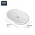Grohe Essence 39673000 Under Counter 24" Bathroom Sink in Grohe Alpine White