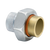 Legend Valve 301-104NL Dielectric Union 3/4 Inch FNPT x Sweat Brass - 4 Pack