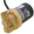 Bell & Gossett ecocirc 1/2 in FNPT Potable Hot Water Recirculation Pump 4 GPM 60A0B3002