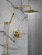 Delta Modern Monitor Series Shower With Raincan, Hand Shower & Rough Valve in Champagne Bronze - 342701-CZ