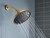 Moen Verso Adjustable 9" Diameter Eco Performance 1.75gpm Spray Head Rainshower in Brushed Gold - 220R3EPBG