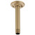 Brizo RP48985GL Universal Showering 6" Ceiling Mount Shower Arm And Round Flange: Luxe Gold