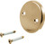 Delta RP31556CZ Overflow Plate without Trip Lever Champagne Bronze