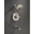 Delta RP6023PB Shower Arm in Polished Brass Finish