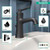 hansgrohe 04771670 Joleena Single-Hole Faucet 100 with Pop-Up Drain, 1.2 GPM in Matte Black