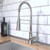 Hansgrohe 4792000 Joleena Semi-Pro Kitchen Faucet, 2-Spray, 1.75 GPM in Chrome
