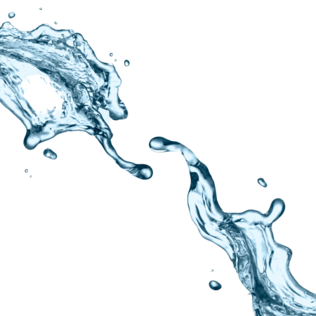 Dual Flush System