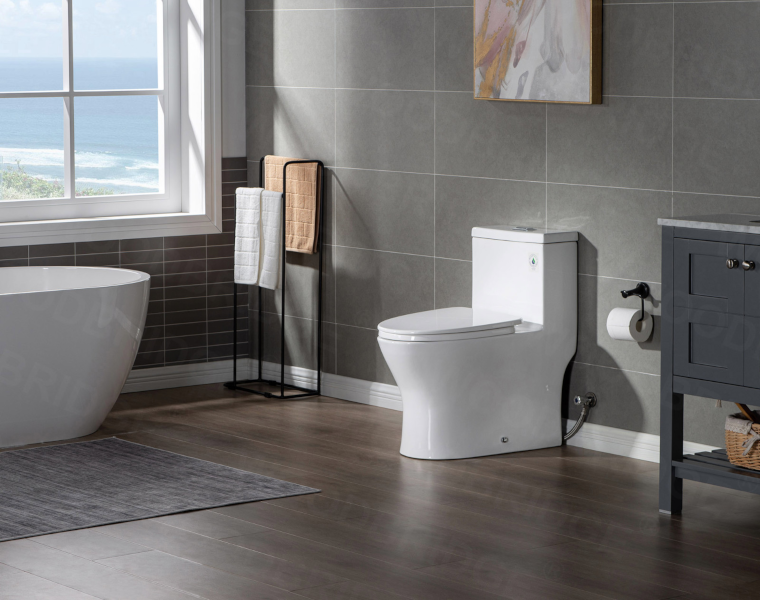 Buying Guide Can You Replace a TwoPiece Toilet with a OnePiece