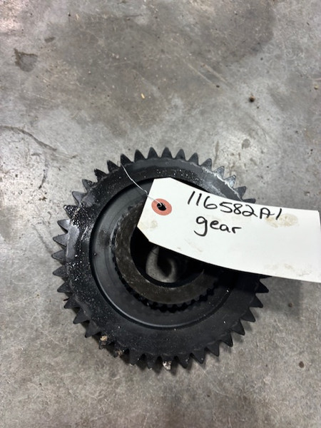 116582A1 Pinion Gear