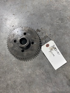 307831A1 Drive Gear
