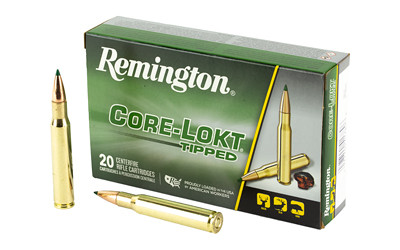 REMINGTON 30-06