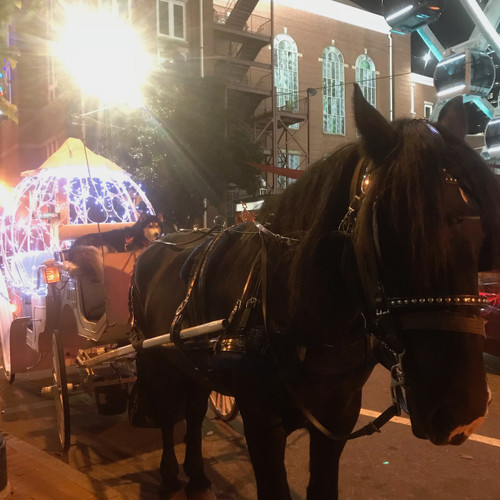 Cinderella carriage Downtown Atlanta