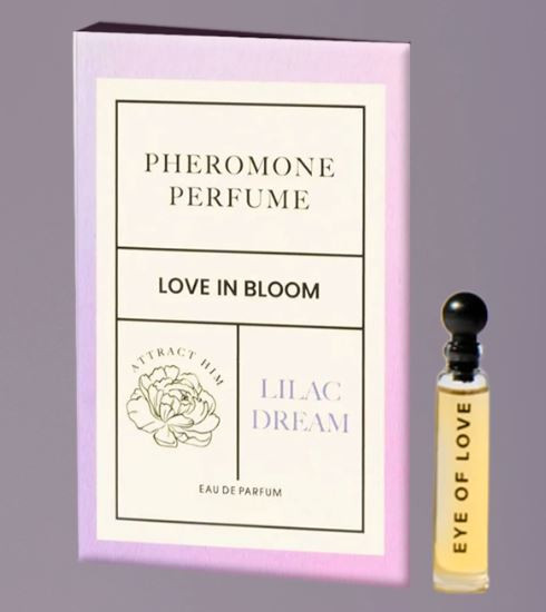 Split Boy Short 2pk Aqua/black W/ Lilac Dream Pheromone L/xl