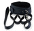 Kink Curious Collar & Leash Set Black