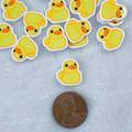 Mini duck