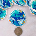 Round whales