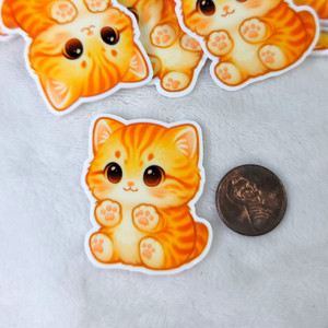 orange kitty