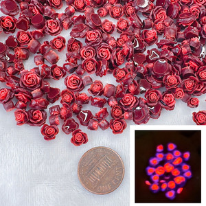 Red luminous flower set