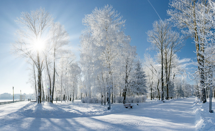 Winter